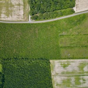 Photo #13 of SOLD property in Off Holly Neck Rd, Roper, NC 23.1 acres