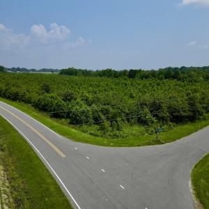Photo #14 of SOLD property in Off Holly Neck Rd, Roper, NC 23.1 acres