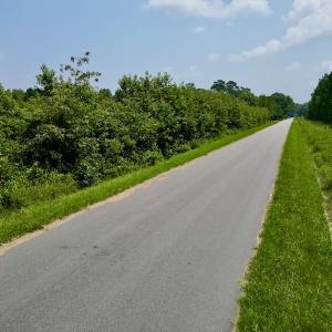 Photo #15 of SOLD property in Off Holly Neck Rd, Roper, NC 23.1 acres