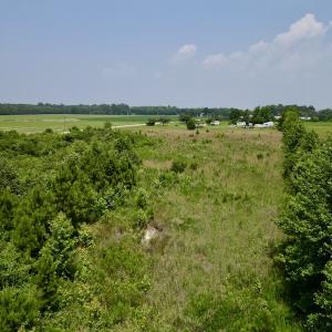 Photo #19 of SOLD property in Off Holly Neck Rd, Roper, NC 23.1 acres