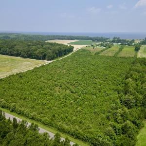 Photo #3 of SOLD property in Off Holly Neck Rd, Roper, NC 23.1 acres