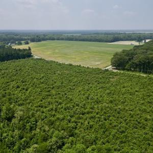 Photo #4 of SOLD property in Off Holly Neck Rd, Roper, NC 23.1 acres