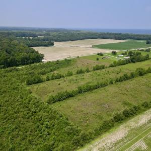 Photo #5 of SOLD property in Off Holly Neck Rd, Roper, NC 23.1 acres