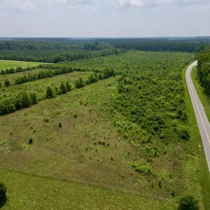 Photo #8 of SOLD property in Off Holly Neck Rd, Roper, NC 23.1 acres
