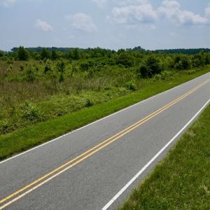 Photo #9 of SOLD property in Off Holly Neck Rd, Roper, NC 23.1 acres