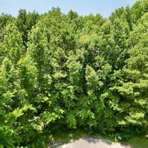 Photo #14 of SOLD property in Off Trey Rd, Wilson, NC 29.9 acres