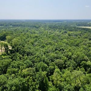 Photo #3 of SOLD property in Off Trey Rd, Wilson, NC 29.9 acres