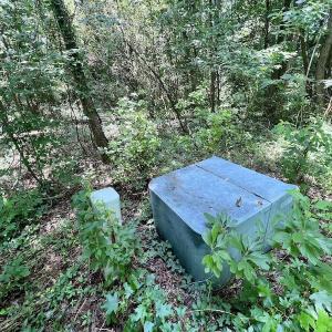 Photo #4 of SOLD property in Off Trey Rd, Wilson, NC 29.9 acres