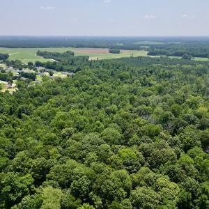 Photo #6 of SOLD property in Off Trey Rd, Wilson, NC 29.9 acres