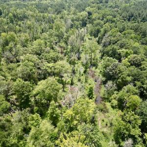Photo #7 of SOLD property in Off Trey Rd, Wilson, NC 29.9 acres