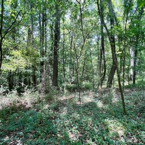 Photo #8 of SOLD property in Off Trey Rd, Wilson, NC 29.9 acres