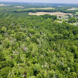 Photo #10 of SOLD property in Off Trey Rd, Wilson, NC 29.9 acres
