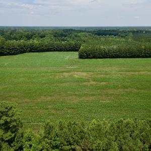 Photo #11 of SOLD property in Off Highway 33, Chocowinity, NC 169.5 acres