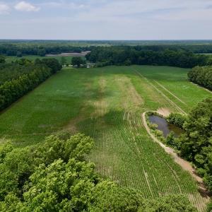 Photo #12 of SOLD property in Off Highway 33, Chocowinity, NC 169.5 acres