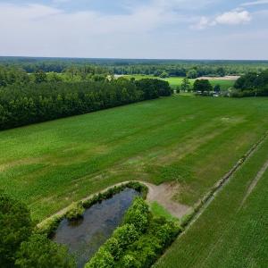 Photo #13 of SOLD property in Off Highway 33, Chocowinity, NC 169.5 acres