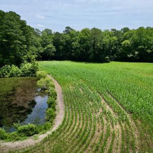 Photo #14 of SOLD property in Off Highway 33, Chocowinity, NC 169.5 acres