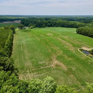 Photo #4 of SOLD property in Off Highway 33, Chocowinity, NC 169.5 acres