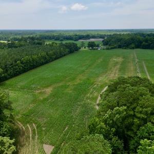 Photo #6 of SOLD property in Off Highway 33, Chocowinity, NC 169.5 acres