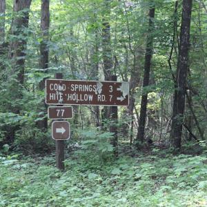 Photo #10 of SOLD property in 2398 Old Parkersburg Tpke, Deerfield, VA 1.6 acres