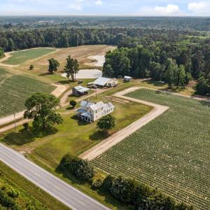 Photo #11 of 1416 NC Hwy 45 S, Windsor, NC 169.6 acres