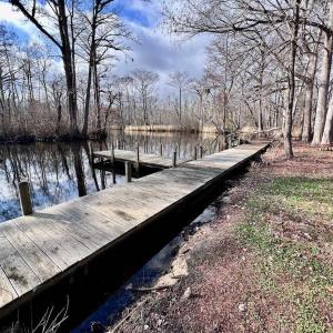 Photo #19 of 1416 NC Hwy 45 S, Windsor, NC 169.6 acres