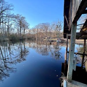 Photo #22 of 1416 NC Hwy 45 S, Windsor, NC 169.6 acres