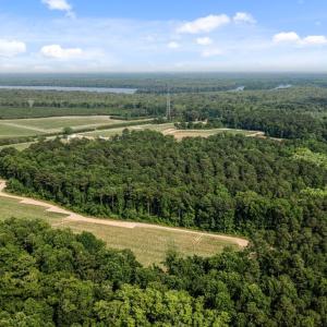 Photo #26 of 1416 NC Hwy 45 S, Windsor, NC 169.6 acres