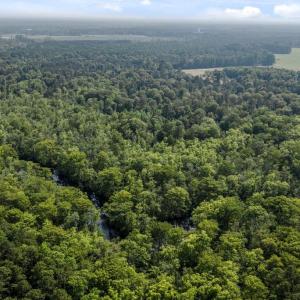 Photo #28 of 1416 NC Hwy 45 S, Windsor, NC 169.6 acres
