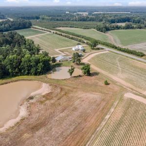 Photo #30 of 1416 NC Hwy 45 S, Windsor, NC 169.6 acres