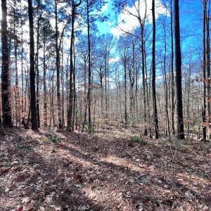 Photo #43 of 1416 NC Hwy 45 S, Windsor, NC 169.6 acres