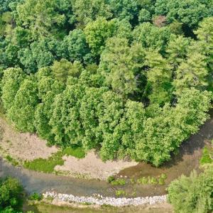 Photo #7 of SOLD property in 3598 Lower Fork Rd, Williamsville, VA 22.2 acres