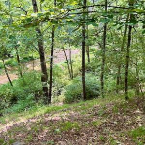 Photo #64 of SOLD property in 3598 Lower Fork Rd, Williamsville, VA 22.2 acres