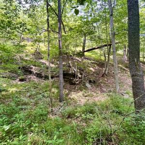 Photo #66 of SOLD property in 3598 Lower Fork Rd, Williamsville, VA 22.2 acres