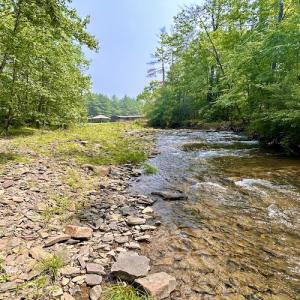 Photo #74 of SOLD property in 3598 Lower Fork Rd, Williamsville, VA 22.2 acres