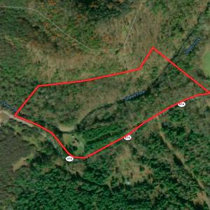 Photo #81 of SOLD property in 3598 Lower Fork Rd, Williamsville, VA 22.2 acres