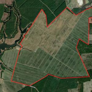 Photo #1 of SOLD property in Off Shiloh Rd, Ivanhoe, NC 1,153.0 acres