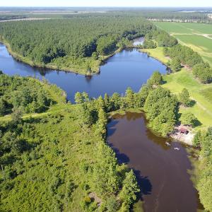 Photo #3 of SOLD property in Off Shiloh Rd, Ivanhoe, NC 1,153.0 acres