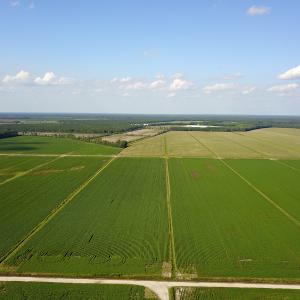 Photo #9 of SOLD property in Off Shiloh Rd, Ivanhoe, NC 1,153.0 acres