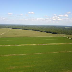 Photo #10 of SOLD property in Off Shiloh Rd, Ivanhoe, NC 1,153.0 acres