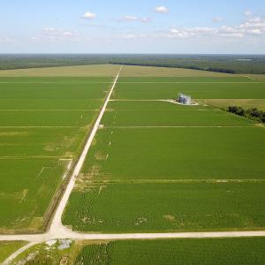Photo #12 of SOLD property in Off Shiloh Rd, Ivanhoe, NC 1,153.0 acres