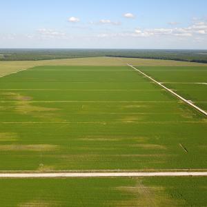 Photo #13 of SOLD property in Off Shiloh Rd, Ivanhoe, NC 1,153.0 acres