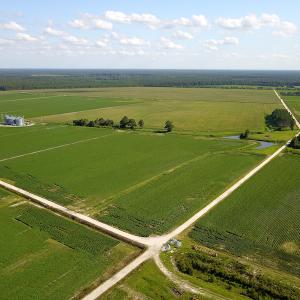 Photo #14 of SOLD property in Off Shiloh Rd, Ivanhoe, NC 1,153.0 acres
