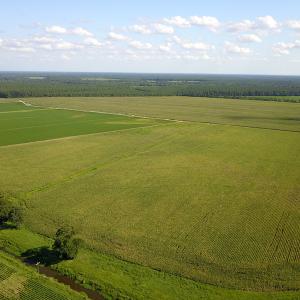 Photo #16 of SOLD property in Off Shiloh Rd, Ivanhoe, NC 1,153.0 acres
