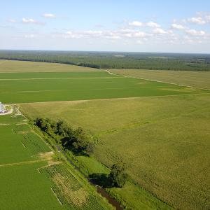 Photo #17 of SOLD property in Off Shiloh Rd, Ivanhoe, NC 1,153.0 acres