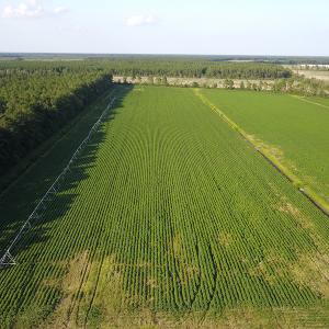 Photo #20 of SOLD property in Off Shiloh Rd, Ivanhoe, NC 1,153.0 acres