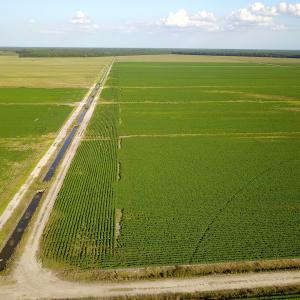 Photo #21 of SOLD property in Off Shiloh Rd, Ivanhoe, NC 1,153.0 acres