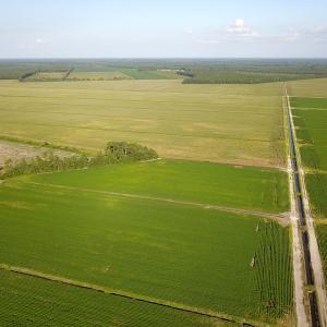 Photo #22 of SOLD property in Off Shiloh Rd, Ivanhoe, NC 1,153.0 acres