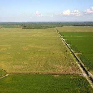 Photo #23 of SOLD property in Off Shiloh Rd, Ivanhoe, NC 1,153.0 acres