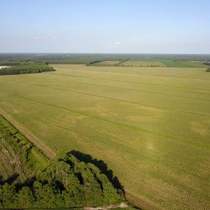 Photo #24 of SOLD property in Off Shiloh Rd, Ivanhoe, NC 1,153.0 acres