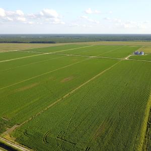 Photo #25 of SOLD property in Off Shiloh Rd, Ivanhoe, NC 1,153.0 acres